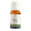 Eucalyptus Essential Oil | Tasano