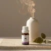 Patchouli Essential Oil - TASANO