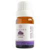 Lavender Essential Oil | Tasano