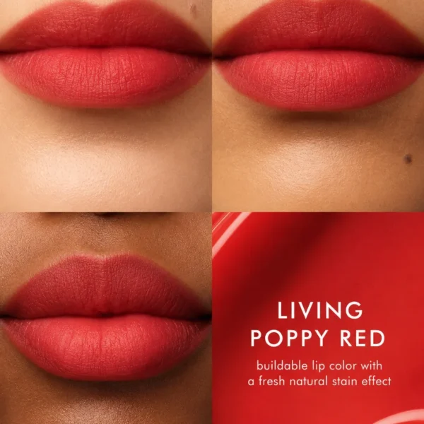 TASANO Aker Fassi Moroccan lipstick shown as a buildable poppy red lip stain on different skin tones
