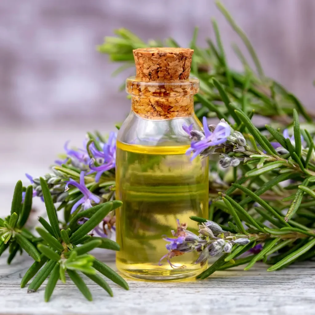 Rosemary Oil for Hair Growth - TASANO