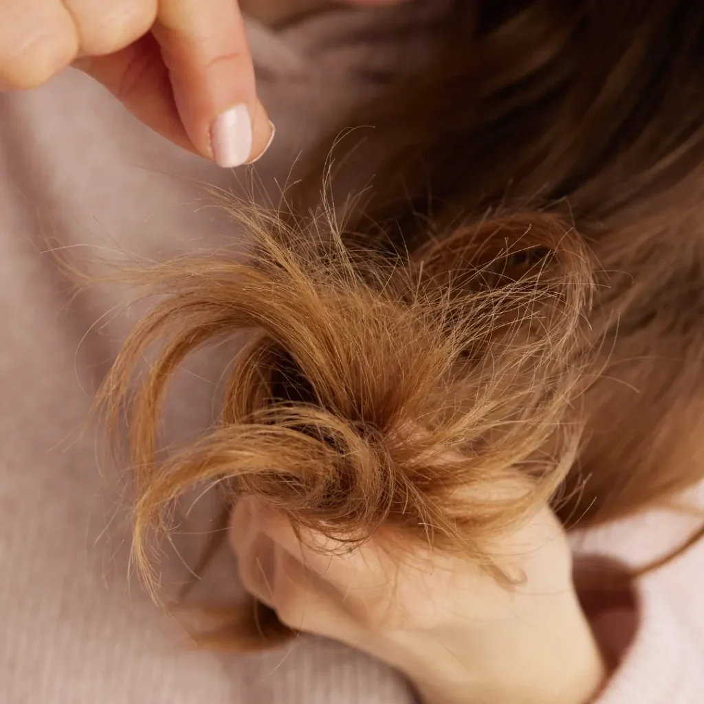 Moroccan Hair Care - TASANO